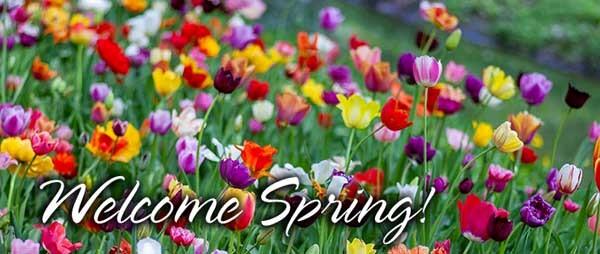A variety of flowers blooming with the message welcome spring.jpg