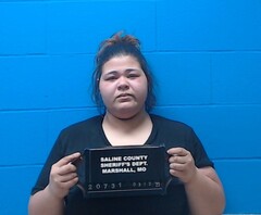 Mugshot of Nicol, Katie