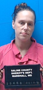 Mugshot of Perry, Lesley