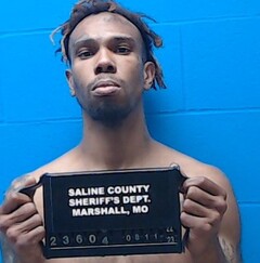 Mugshot of Parkins, Noel