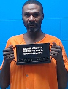 Mugshot of Wade, Matthew