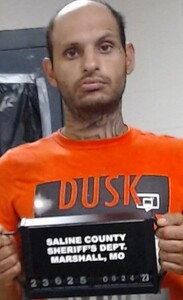 Mugshot of Hayden, William
