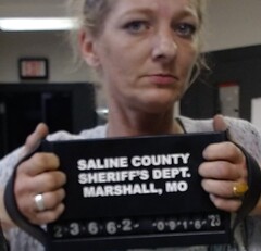 Mugshot of Manes, Sara