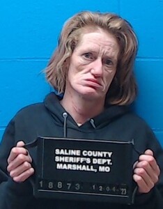Mugshot of Wilmoth, Toni