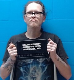 Mugshot of Hayslip, Bruce