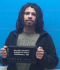 Mugshot of White, Donavan