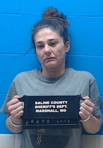 Mugshot of Coates, Davin