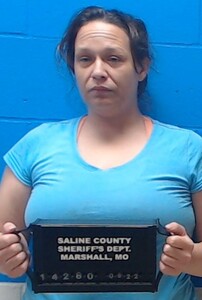 Mugshot of Howard, Sara  