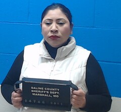 Mugshot of Ramos Monroy, Wendy  