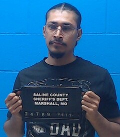Mugshot of LinaresHenriquez, Miguel
